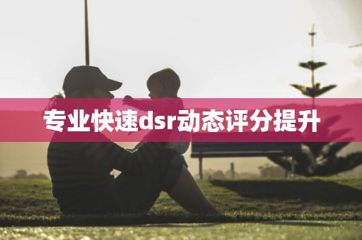 专业快速dsr动态评分提升