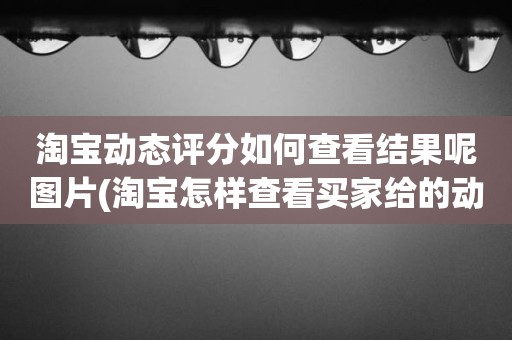 淘宝动态评分如何查看结果呢图片(淘宝怎样查看买家给的动态评分)