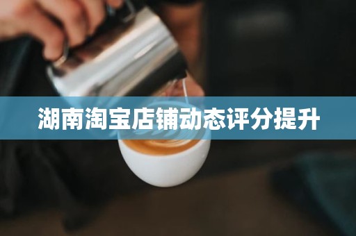 湖南淘宝店铺动态评分提升