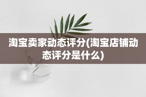 淘宝卖家动态评分(淘宝店铺动态评分是什么)