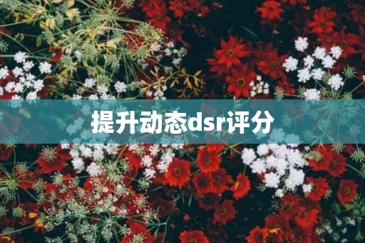 提升动态dsr评分