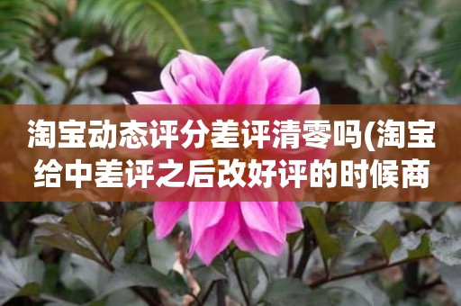 淘宝动态评分差评清零吗(淘宝给中差评之后改好评的时候商品的动态评分能改吗)