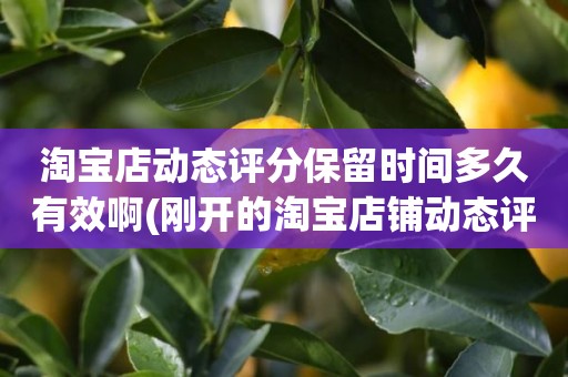 淘宝店动态评分保留时间多久有效啊(刚开的淘宝店铺动态评分什么时候开始显示)