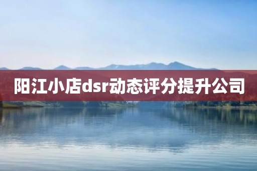 阳江小店dsr动态评分提升公司