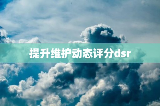 提升维护动态评分dsr