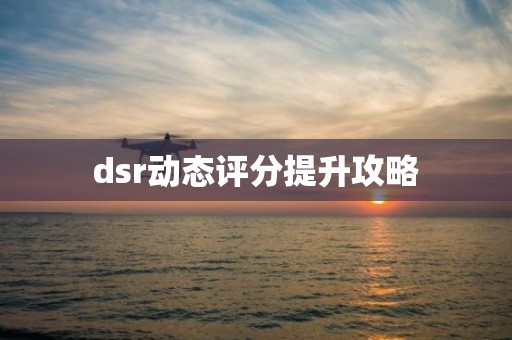 dsr动态评分提升攻略