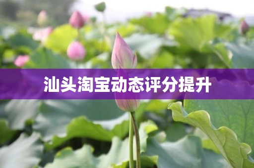 汕头淘宝动态评分提升