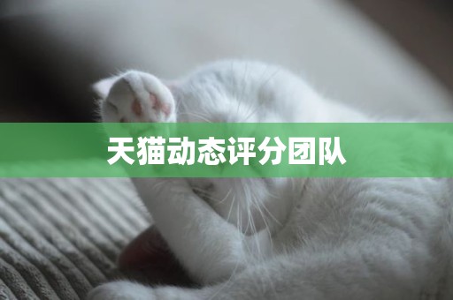 天猫动态评分团队