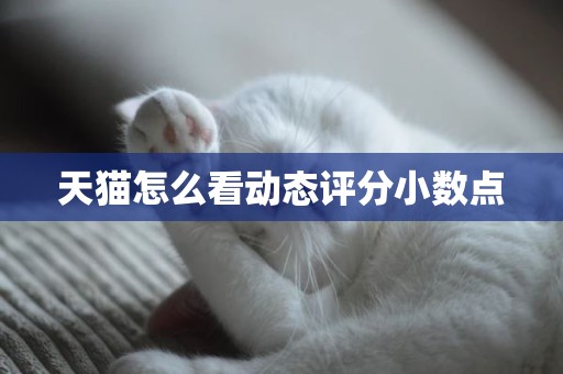 天猫怎么看动态评分小数点