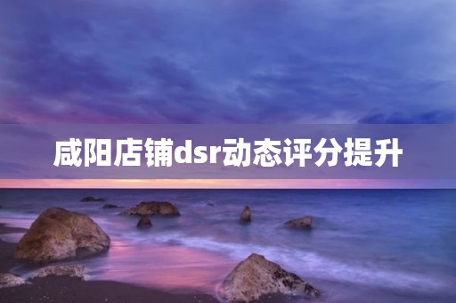 咸阳店铺dsr动态评分提升