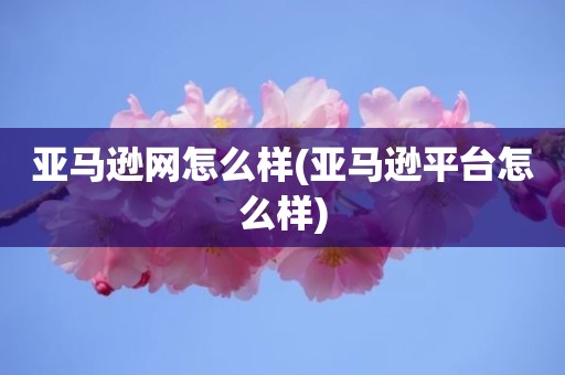 亚马逊网怎么样(亚马逊平台怎么样)