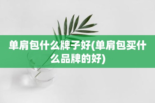 单肩包什么牌子好(单肩包买什么品牌的好)