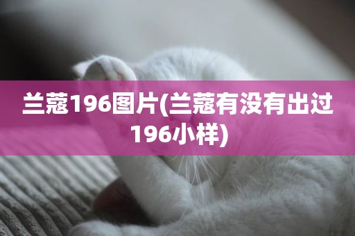 兰蔻196图片(兰蔻有没有出过196小样)