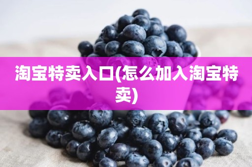 淘宝特卖入口(怎么加入淘宝特卖)