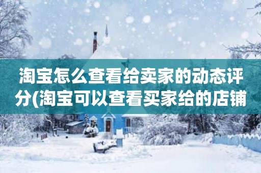 淘宝怎么查看给卖家的动态评分(淘宝可以查看买家给的店铺动态评分吗)