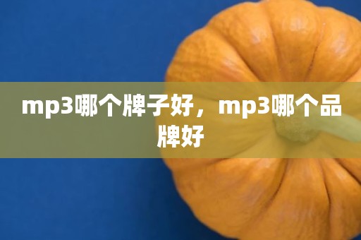 mp3哪个牌子好，mp3哪个品牌好