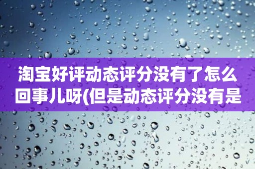 淘宝好评动态评分没有了怎么回事儿呀(但是动态评分没有是怎么回事)