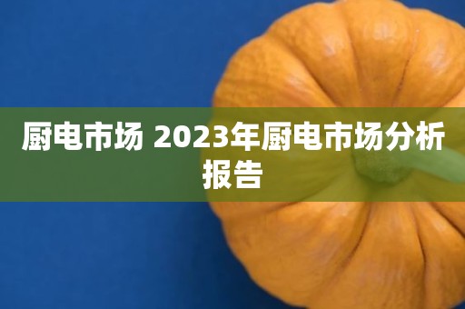 厨电市场 2023年厨电市场分析报告