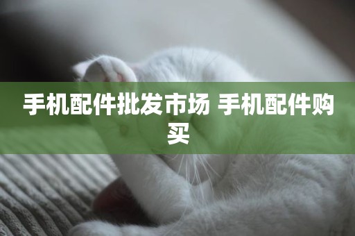 手机配件批发市场 手机配件购买