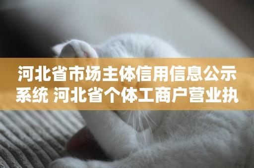 河北省市场主体信用信息公示系统 河北省个体工商户营业执照年检