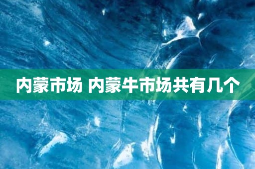 内蒙市场 内蒙牛市场共有几个