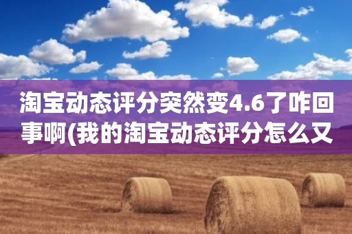 淘宝动态评分突然变4.6了咋回事啊(我的淘宝动态评分怎么又从4.8变成5.0了)