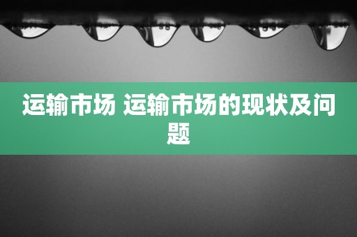 运输市场 运输市场的现状及问题