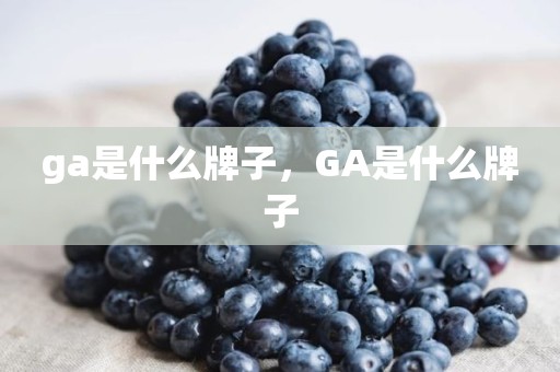 ga是什么牌子，GA是什么牌子