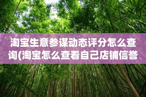 淘宝生意参谋动态评分怎么查询(淘宝怎么查看自己店铺信誉还差多少升级)