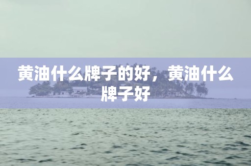 黄油什么牌子的好，黄油什么牌子好