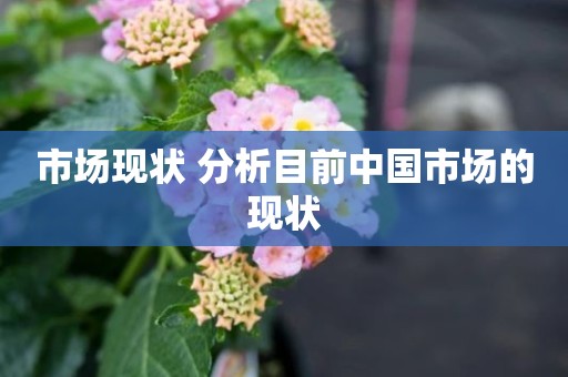 市场现状 分析目前中国市场的现状