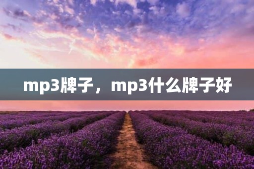 mp3牌子，mp3什么牌子好