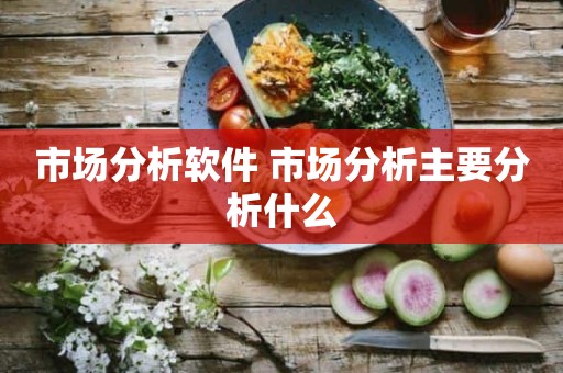 市场分析软件 市场分析主要分析什么