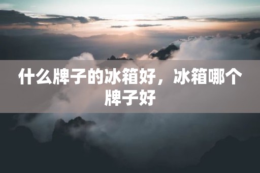 什么牌子的冰箱好，冰箱哪个牌子好