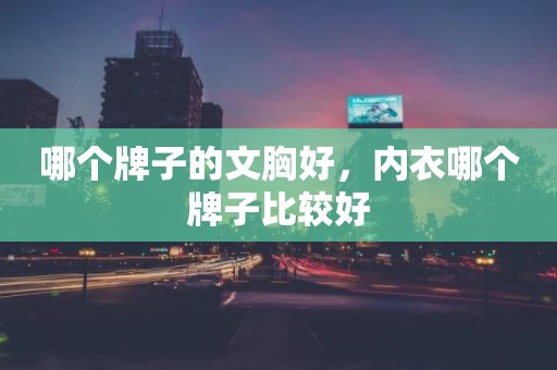 哪个牌子的文胸好，内衣哪个牌子比较好