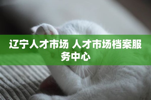 辽宁人才市场 人才市场档案服务中心