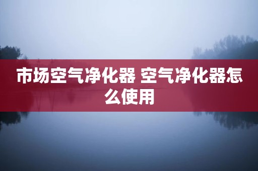 市场空气净化器 空气净化器怎么使用