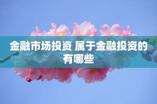 金融市场投资 属于金融投资的有哪些