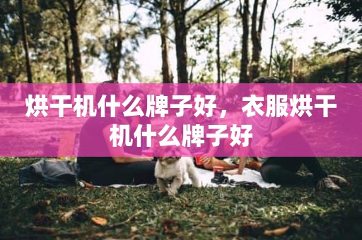 烘干机什么牌子好，衣服烘干机什么牌子好