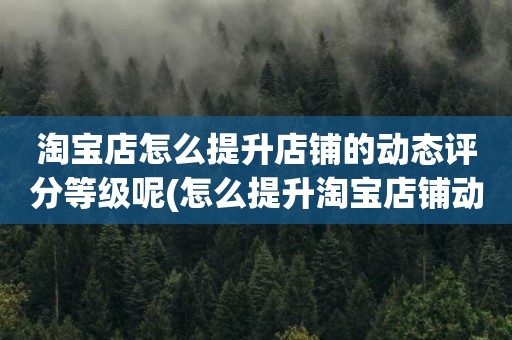 淘宝店怎么提升店铺的动态评分等级呢(怎么提升淘宝店铺动态评分)