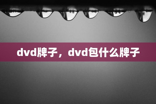 dvd牌子，dvd包什么牌子