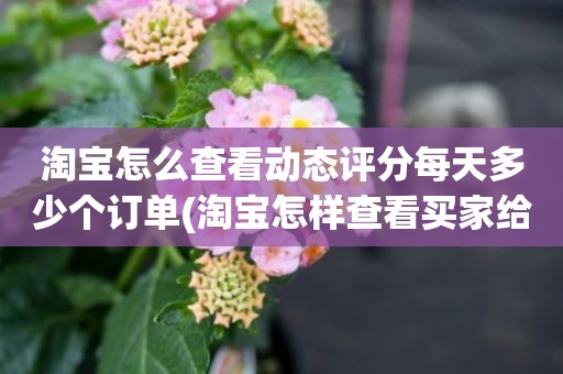 淘宝怎么查看动态评分每天多少个订单(淘宝怎样查看买家给的动态评分)