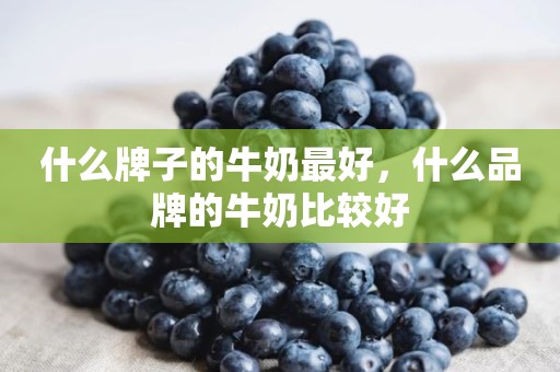 什么牌子的牛奶最好，什么品牌的牛奶比较好