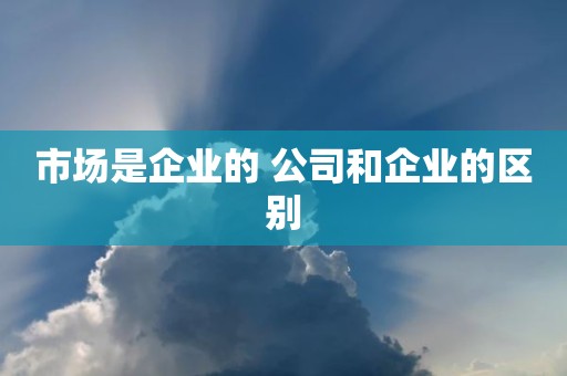 市场是企业的 公司和企业的区别