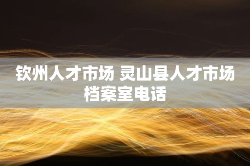 钦州人才市场 灵山县人才市场档案室电话