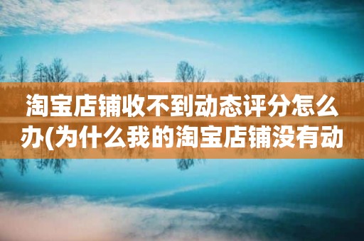 淘宝店铺收不到动态评分怎么办(为什么我的淘宝店铺没有动态评分)