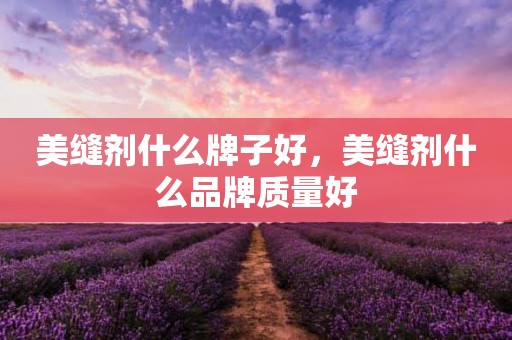 美缝剂什么牌子好，美缝剂什么品牌质量好