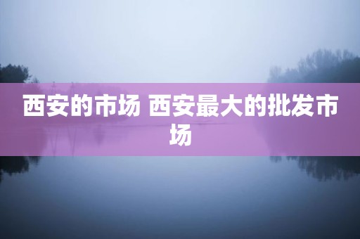 西安的市场 西安最大的批发市场