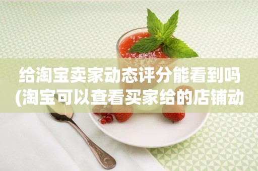 给淘宝卖家动态评分能看到吗(淘宝可以查看买家给的店铺动态评分吗)