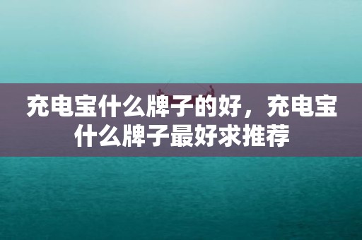 充电宝什么牌子的好，充电宝什么牌子最好求推荐